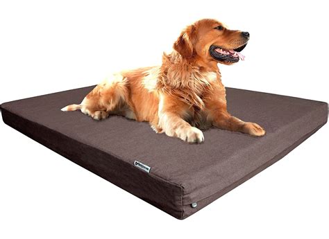 Foam Pet Bed Amazon